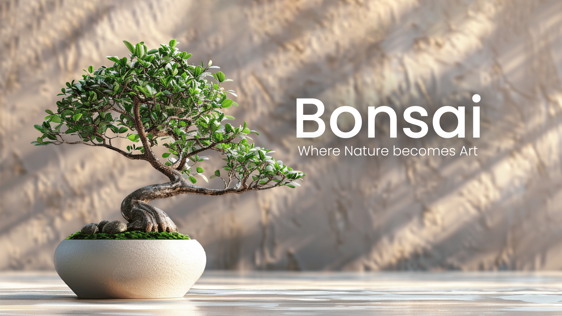 Beautiful bonsai art